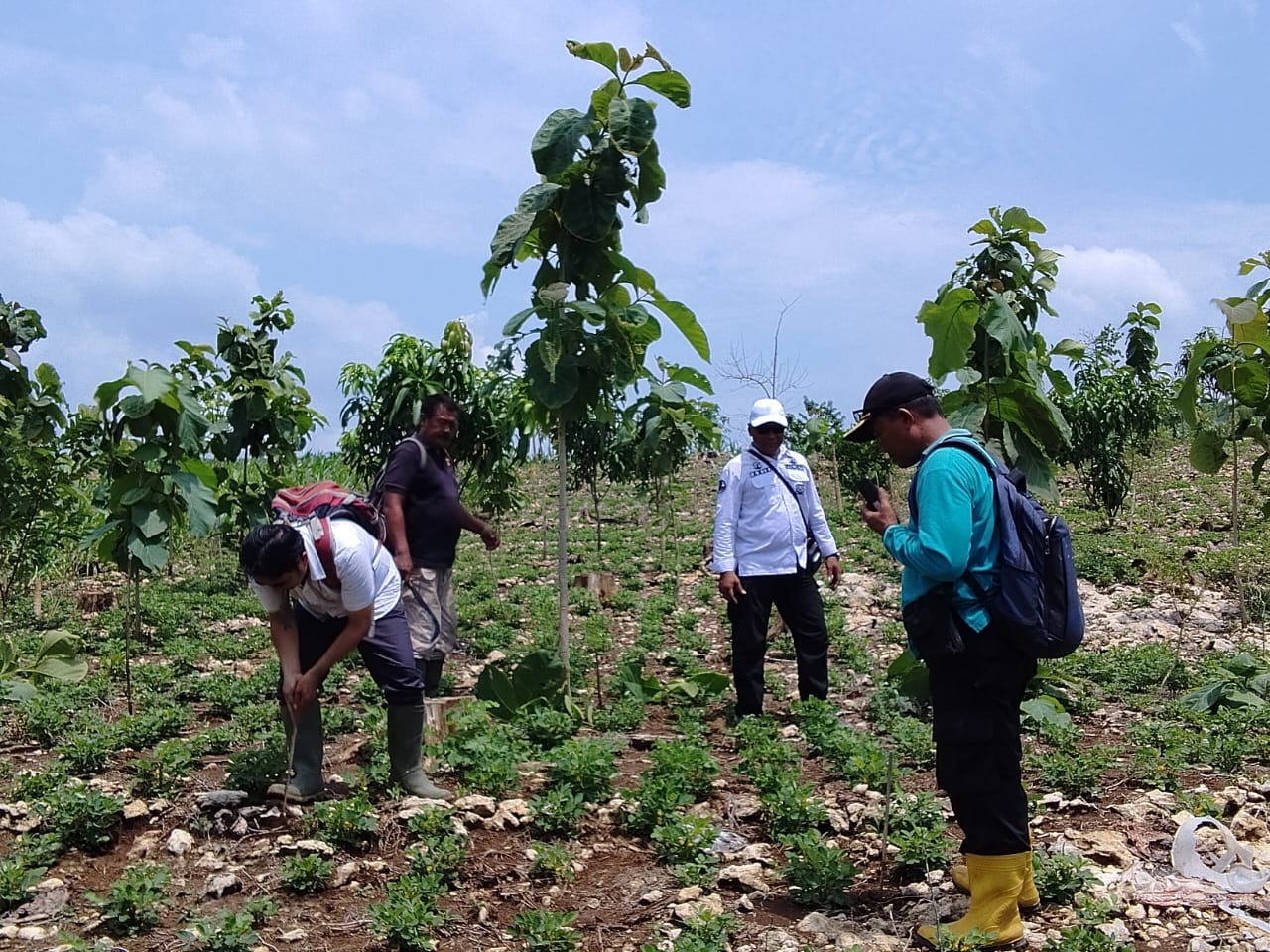 WhatsApp-Image-2025-12-10-at-12.46.101-2