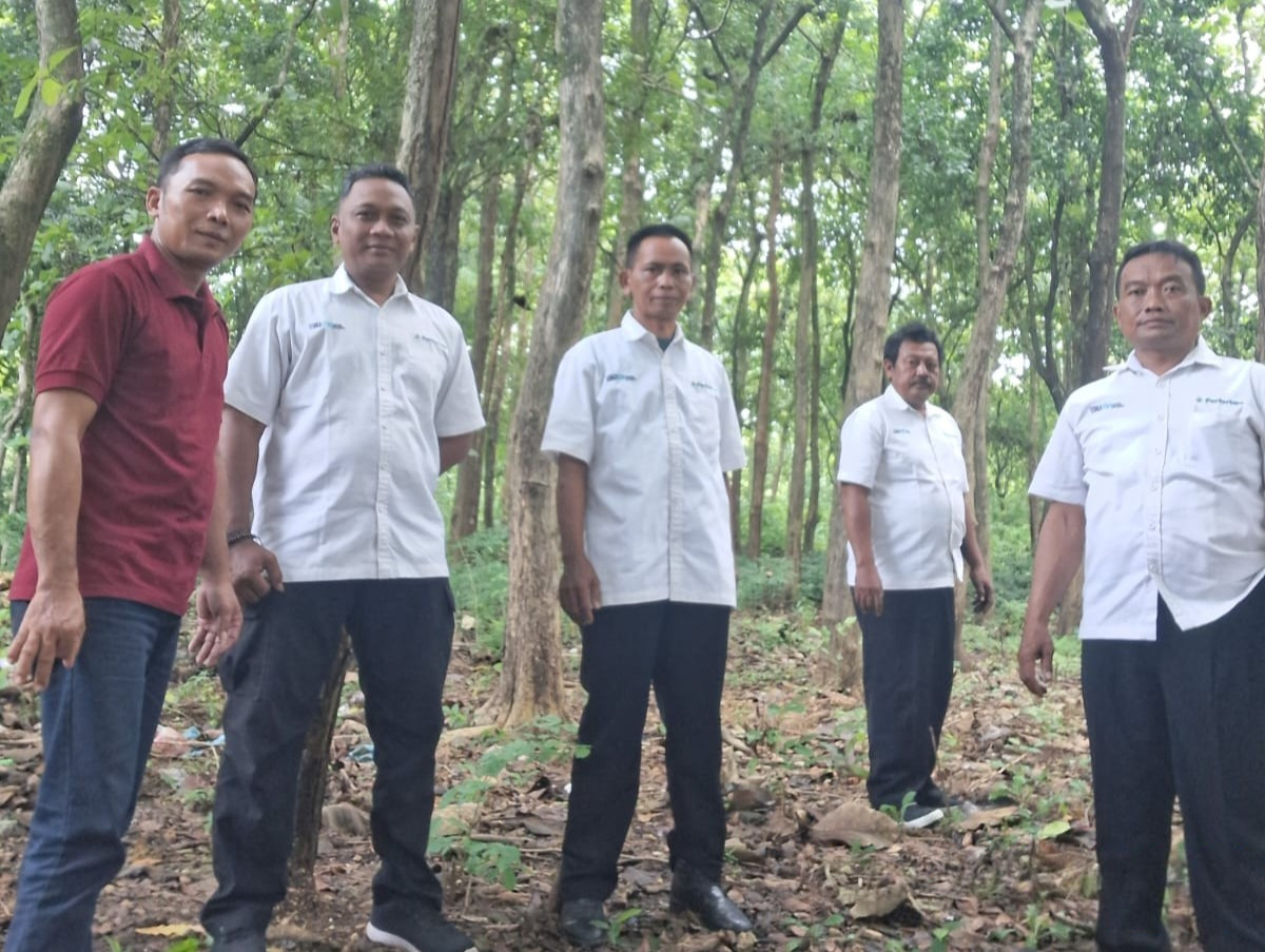 WhatsApp-Image-2026-01-26-at-11.56.201