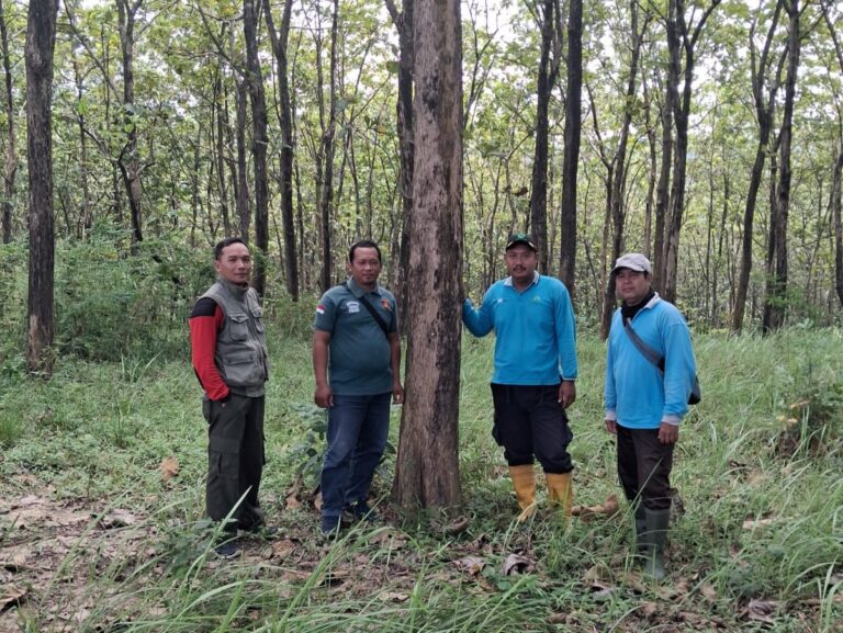 WhatsApp-Image-2026-03-11-at-11.30.08