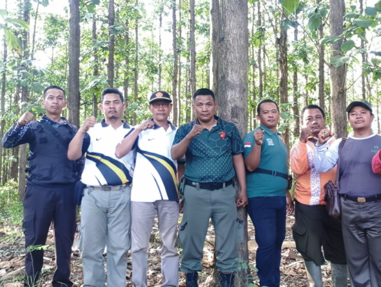 phototune.ai_1777385963